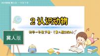 小学科学冀人版（2024）一年级下册（2024）2 认识动物集体备课ppt课件