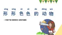 苏教版（2024）一年级下册（2024）10 形形色色的动物教学ppt课件