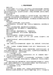 苏教版（2024）一年级下册（2024）11 多姿多彩的植物教案