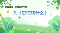 教科版（2024）一年级下册（2024）5.它们吃什么课文内容ppt课件