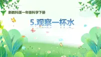 教科版（2024）一年级下册（2024）5.观察一瓶水示范课课件ppt