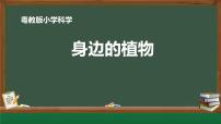 粤教粤科版（2024）一年级下册（2024）第4课 身边的植物集体备课ppt课件