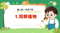 科学一年级下册（2024）1 认识植物获奖ppt课件