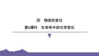 小学科学教科版（2024）六年级下册6.生命体中的化学变化习题课件ppt