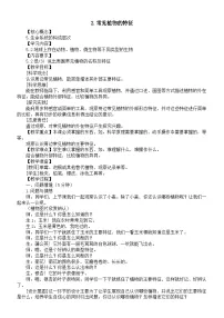 小学科学大象版（2024）一年级下册（2024）2 常见植物的特征教案