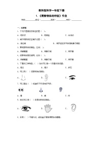 教科版（2024）一年级下册（2024）1.观察物体的特征优秀巩固练习