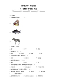 小学科学教科版（2024）一年级下册（2024）2.观察一种动物精品当堂达标检测题