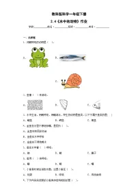 科学一年级下册（2024）4.水中的动物精品达标测试