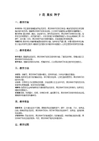 科学三年级下册7 花 果实 种子教案