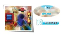 小学科学13 导体和绝缘体精品课件ppt