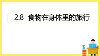 小学科学教科版（2024）四年级上册8.食物在身体里的旅行公开课课件ppt