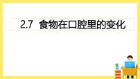 小学科学教科版（2024）四年级上册7.食物在口腔里的变化一等奖ppt课件