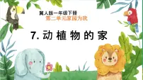 小学科学冀人版（2024）一年级下册（2024）7 动植物的家备课ppt课件