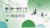 小学科学冀人版（2024）一年级下册（2024）第三单元 我为家园11 和谐共生优质ppt课件