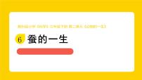 小学科学教科版（2024）三年级下册蚕的一生教学ppt课件
