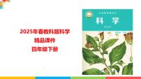 教科版（2024）四年级下册种子的传播教学ppt课件