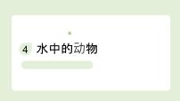 教科版（2024）一年级下册（2024）水中的动物教学ppt课件