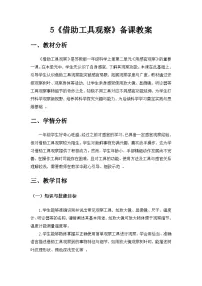 小学科学借助工具观察教学设计