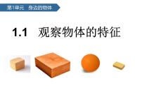 教科版（2024）一年级下册（2024）观察物体的特征多媒体教学ppt课件