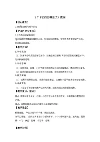 教科版（2024）一年级下册它们去哪里了教案设计
