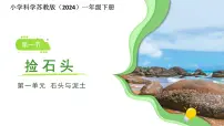 小学科学苏教版（2024）一年级下册（2024）捡石头课文课件ppt
