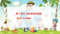 冀人版（2024）一年级下册（2024）认识植物教案配套ppt课件