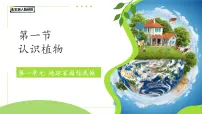 科学一年级上册认识植物课文课件ppt