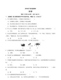 江苏省南通市海门区东洲小学、红军小学、长江路小学2023-2024学年四年级下学期5月期中科学试题