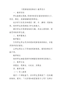 教科版（2024）观察物体的特征教学设计