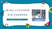 大象版（2024）一年级下册（2024）2 常见植物的特征完美版教学课件ppt
