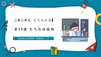 青岛版（五四学制）（2024）一年级下册（2024）天气与动植物获奖教学课件ppt