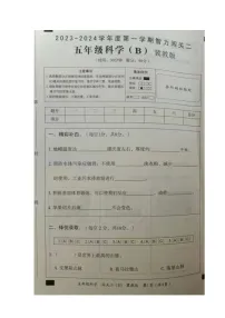 河北省沧州市2023-2024学年第一学期五年级科学期中试卷（冀教版，无答案）