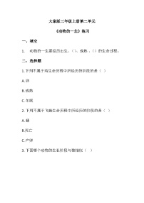 大象版（2024）三年级上册动物的一生同步达标检测题