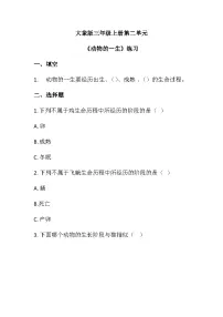 大象版（2024）三年级上册动物的一生同步达标检测题