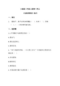 小学大象版（2024）鸟类的特征练习题