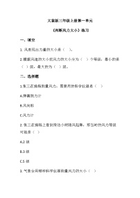 科学判断风力大小同步测试题