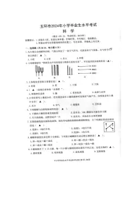 浙江省台州市玉环市2023-2024学年第二学期六年级科学期末试卷（教科版，无答案）