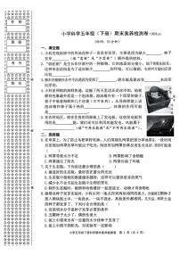 浙江省嘉兴市桐乡市2024-2025学年五年级下科学期末试卷