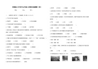 苏教版小学科学五年级上册期末检测题（四）(含答案）