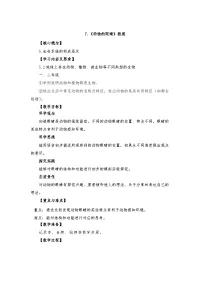 小学科学青岛版（六三制）(2024)一年级下册（2024）动物的眼睛教案设计