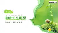 小学教科版（2024）植物长在哪里集体备课课件ppt