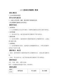 科学一年级上册校园里的植物教学设计及反思