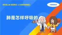 大象版（2024）四年级上册肺是怎样呼吸的教课内容课件ppt