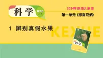 小学科学大象版（2024）一年级上册（2024）辨别真假水果教课内容ppt课件