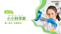 小学科学苏教版（2024）一年级上册（2024）小小科学家一等奖教学设计及反思