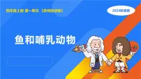 人教鄂教版（2024）四年级上册鸟和哺乳动物备课课件ppt