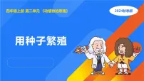 小学科学人教鄂教版（2024）四年级上册用种子繁殖教学演示ppt课件