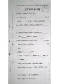 河北省石家庄市高邑县2024-2025学年第二学期五年级科学期末试卷（无答案）