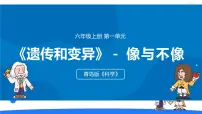 小学科学青岛版（六三制）(2024)六年级上册像与不像教学课件ppt