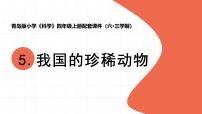 小学科学青岛版（六三制）(2024)四年级上册我国的珍稀动物教学课件ppt